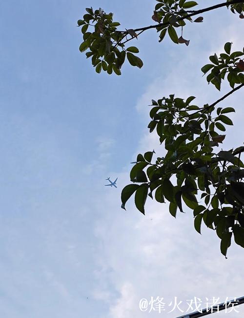 人生无所谓失败 只有成功与成长 人生无所谓失败 只有成功与成长